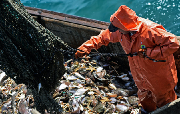 Россия захватила 90% рыболовецких ресурсов Украины в Черном море
