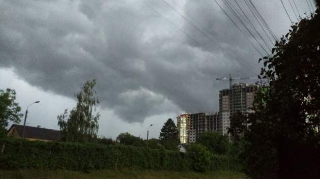 Непогода в Киеве: погибла женщина, деревья вырывало с корнем