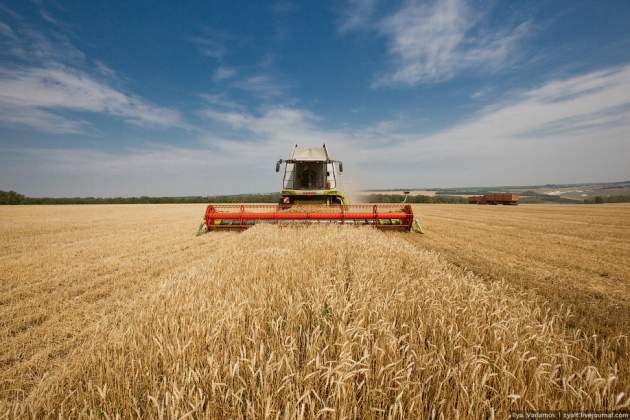 Засуха в Украине поднимет цены на хлеб