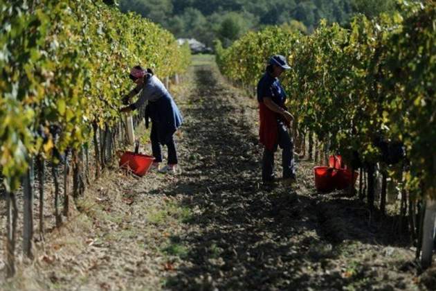 Украинцев обманывают с трудоустройством в Чехии