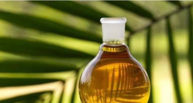 Почему пальмовое масло вредно для мужчин