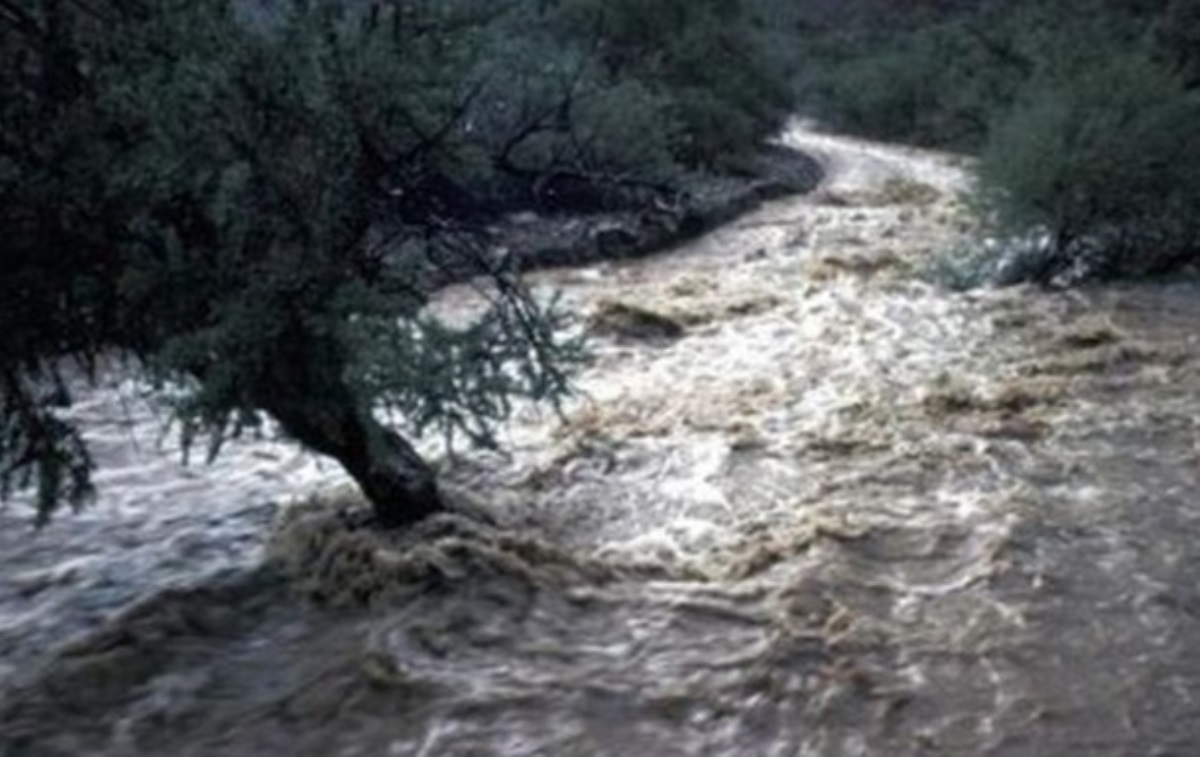 В реках Украины ожидают подъем уровня воды