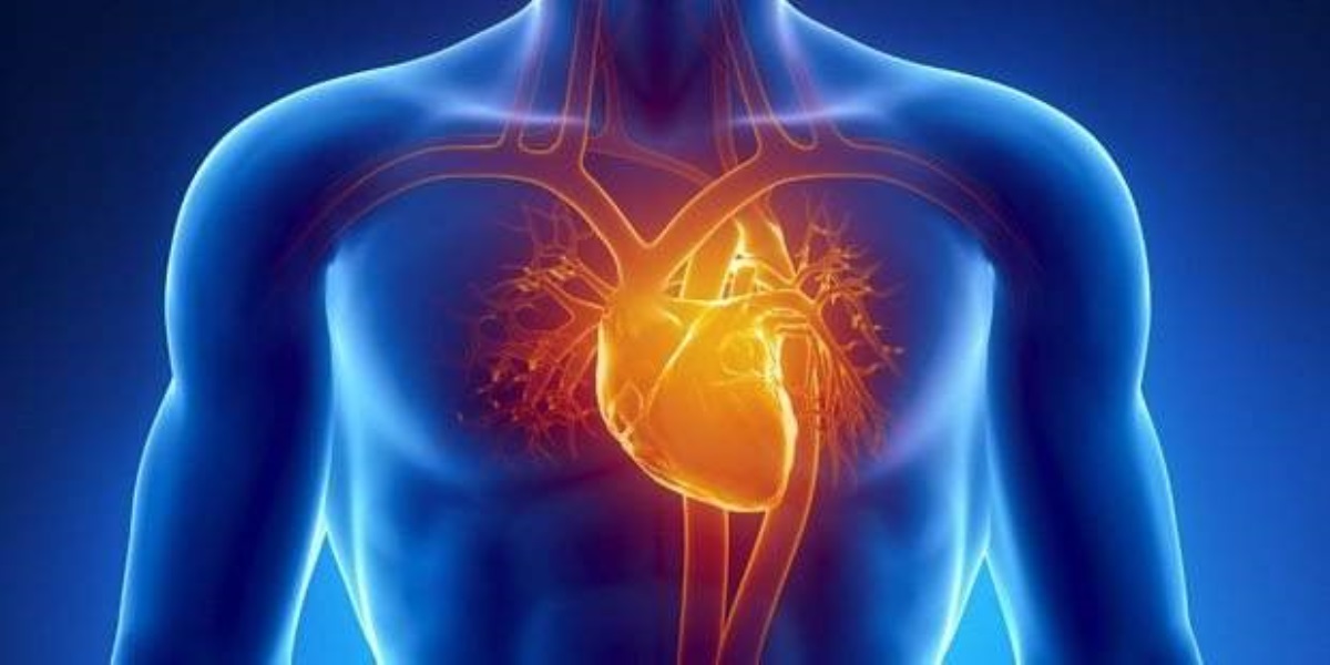 Скорая сердечная помощь: самые полезные продукты для "мотора" человека