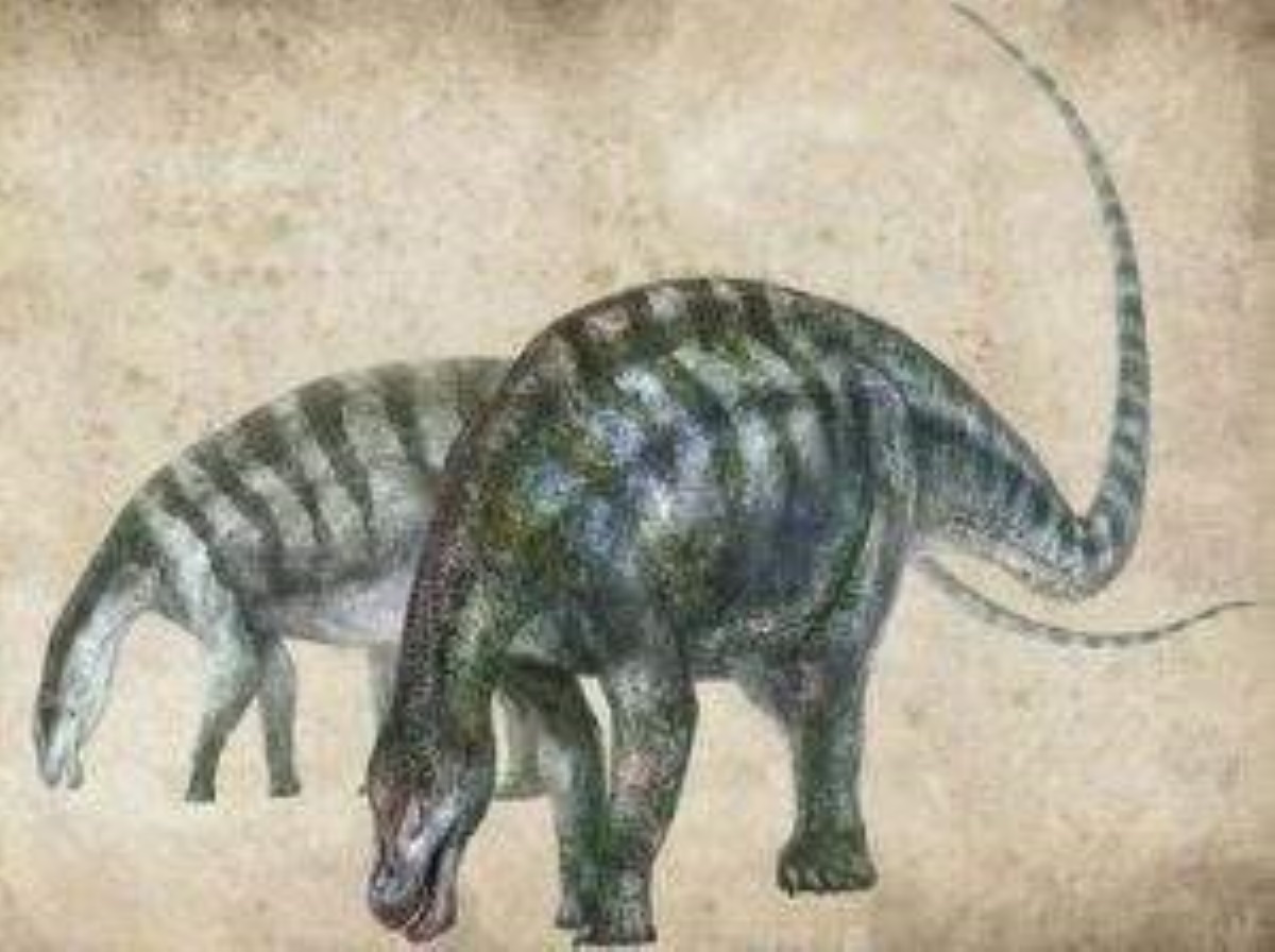 В Китае обнаружили ранее неизвестный вид динозавров