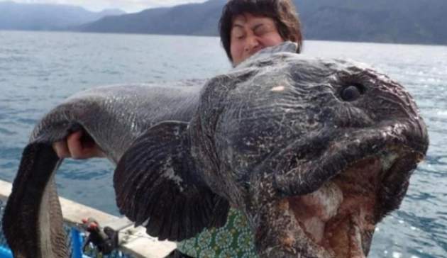 Морское чудовище едва не проглотило ребенка: ужасное видео