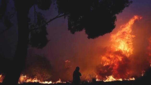 Пожары в Греции забрали сотни жизней: власть назвала причину бедствия