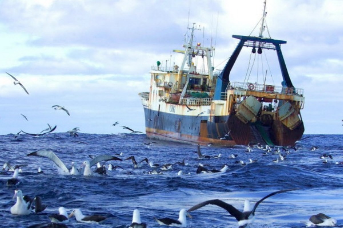 Госрыбагентство: Украина существенно сократила вылов рыбы в Азовском море