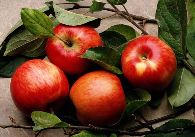 Украина экспортировала рекордное количество яблок
