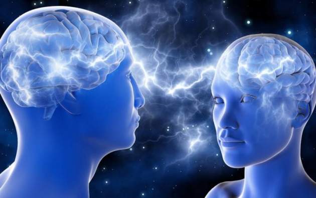 Ученые сравнили мужской и женский мозг: результаты шокируют