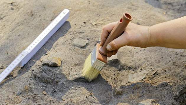 Запорожские археологи обнаружили останки 2-х метрового вождя