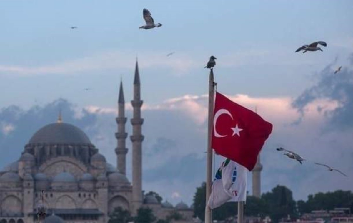 В Турцию не пустили грузина с девушкой в чемодане