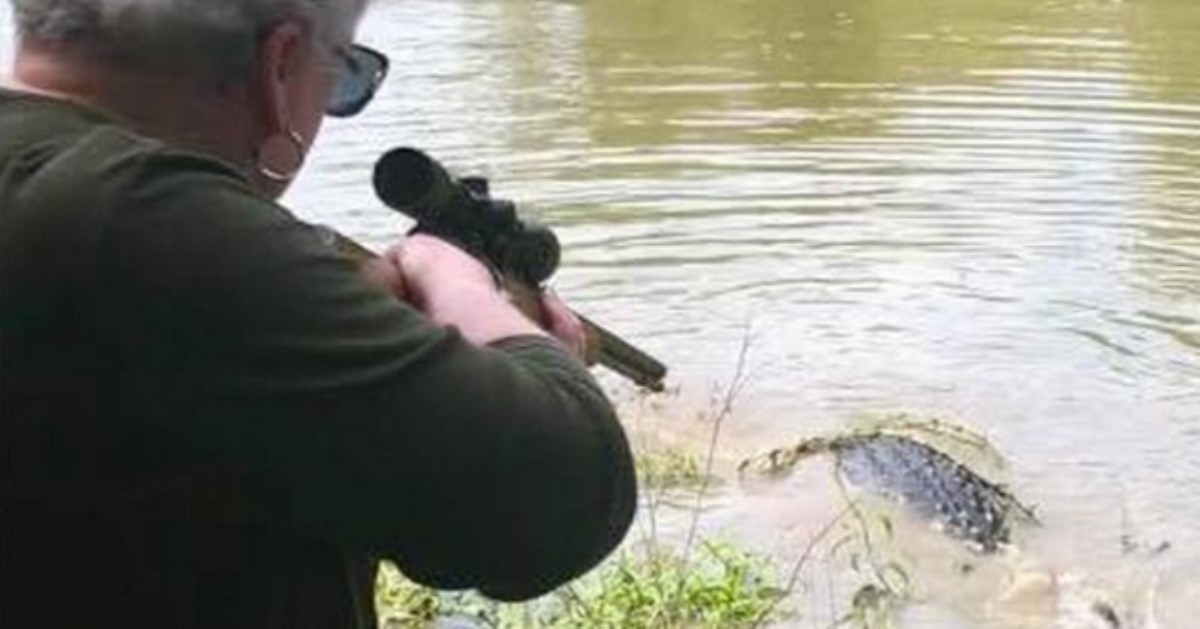 Техасская стрельба: бабушка-мэр застрелила 3-метрового аллигатора, который съел ее пони