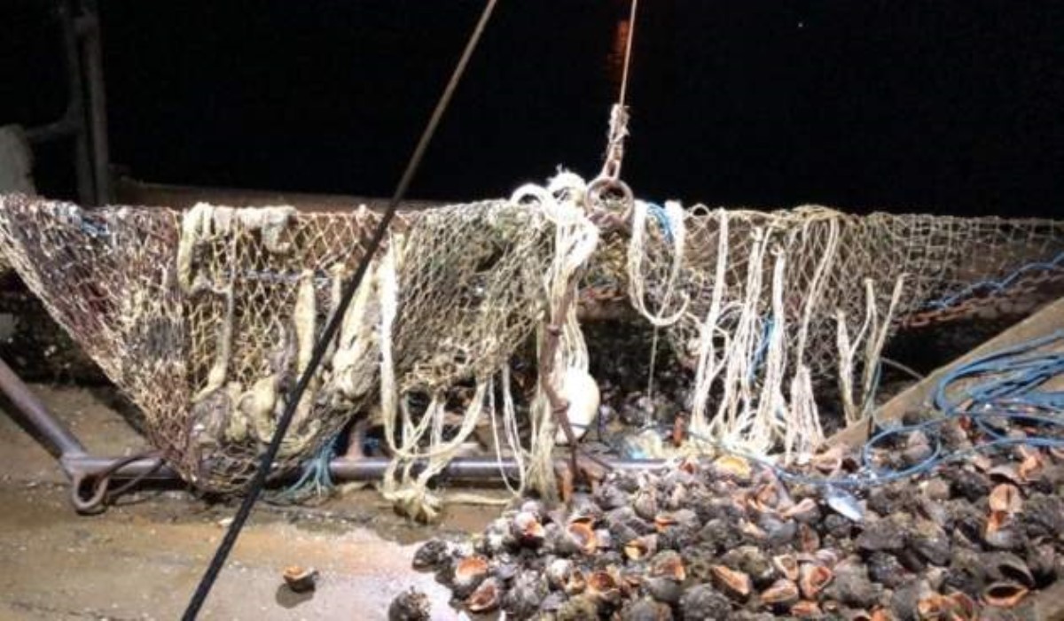Ловкий рыбак поднял со дна более миллиона гривен