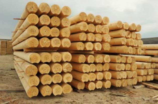 Будет способствовать получению нового транша: Рада отменила мораторий на экспорт леса-кругляка