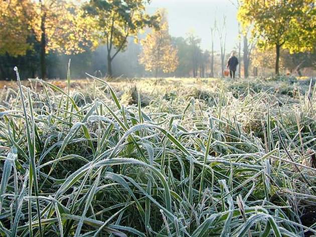 Бури и заморозки: синоптик дал прогноз на октябрь в Украине
