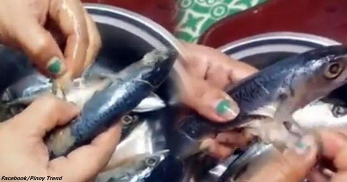 В Китае научились подделывать даже рыбу! Смотрите: чешуя - пластиковая!