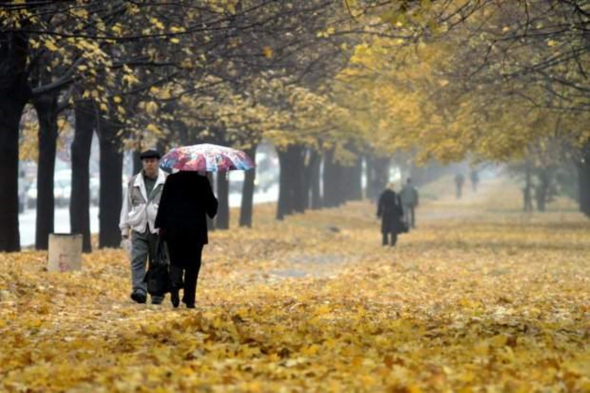 Осень заставит дрожать от холода: прогноз погоды на 22 октября