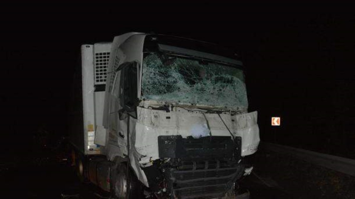 На Закарпатье столкнулись микроавтобус и грузовик: погибли двое юношей