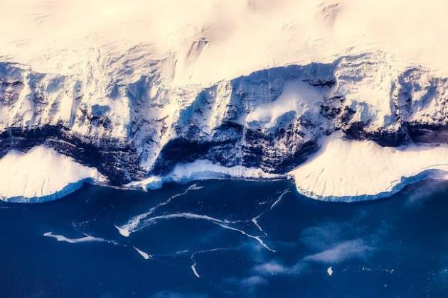 Во льдах Антарктиды ученые обнаружили настоящего монстра