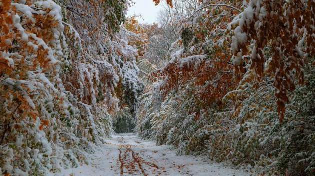 Зима близко: подробный прогноз погоды на ноябрь