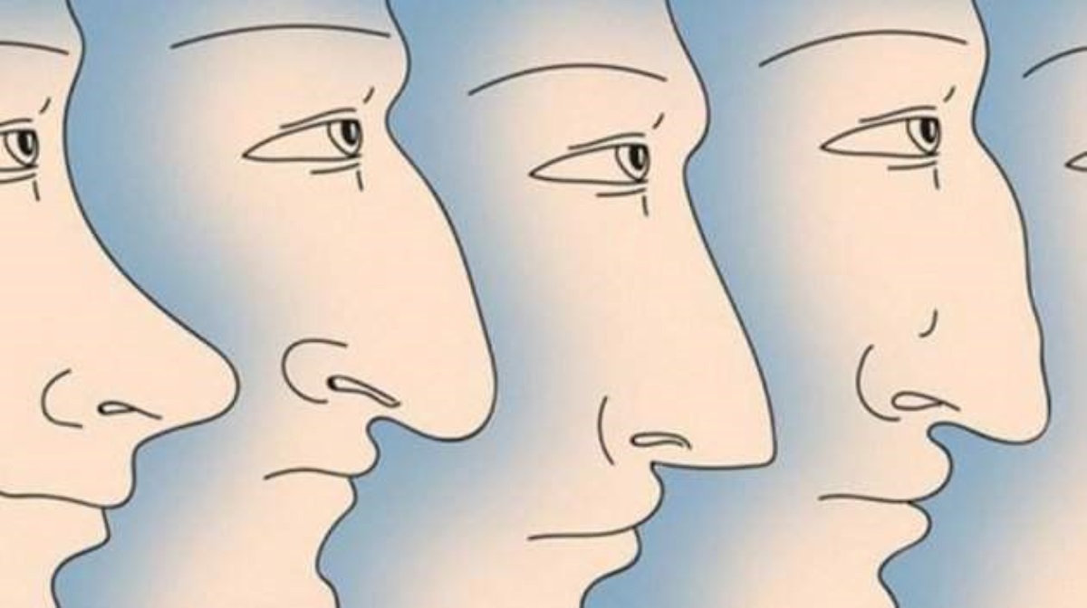 Что форма носа может рассказать о характере человека