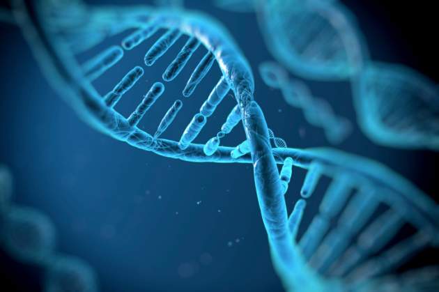 Ученые выяснили, как сильно гены влияют на долголетие людей