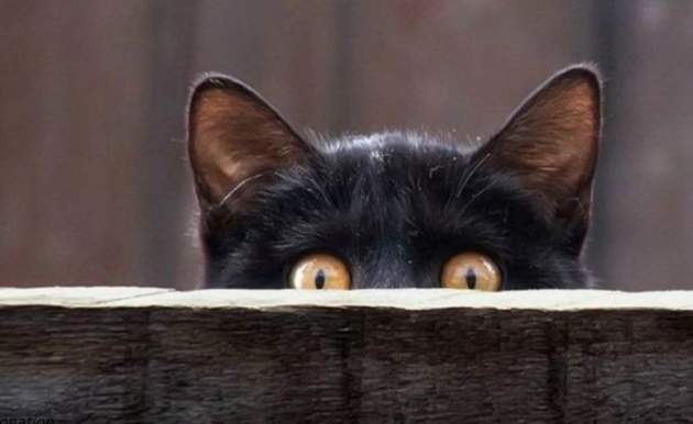 10 народных примет, которые работают 100%