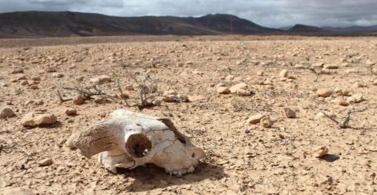 Вымирания не избежать: ученые пророчат человечеству долгий и мучительный конец