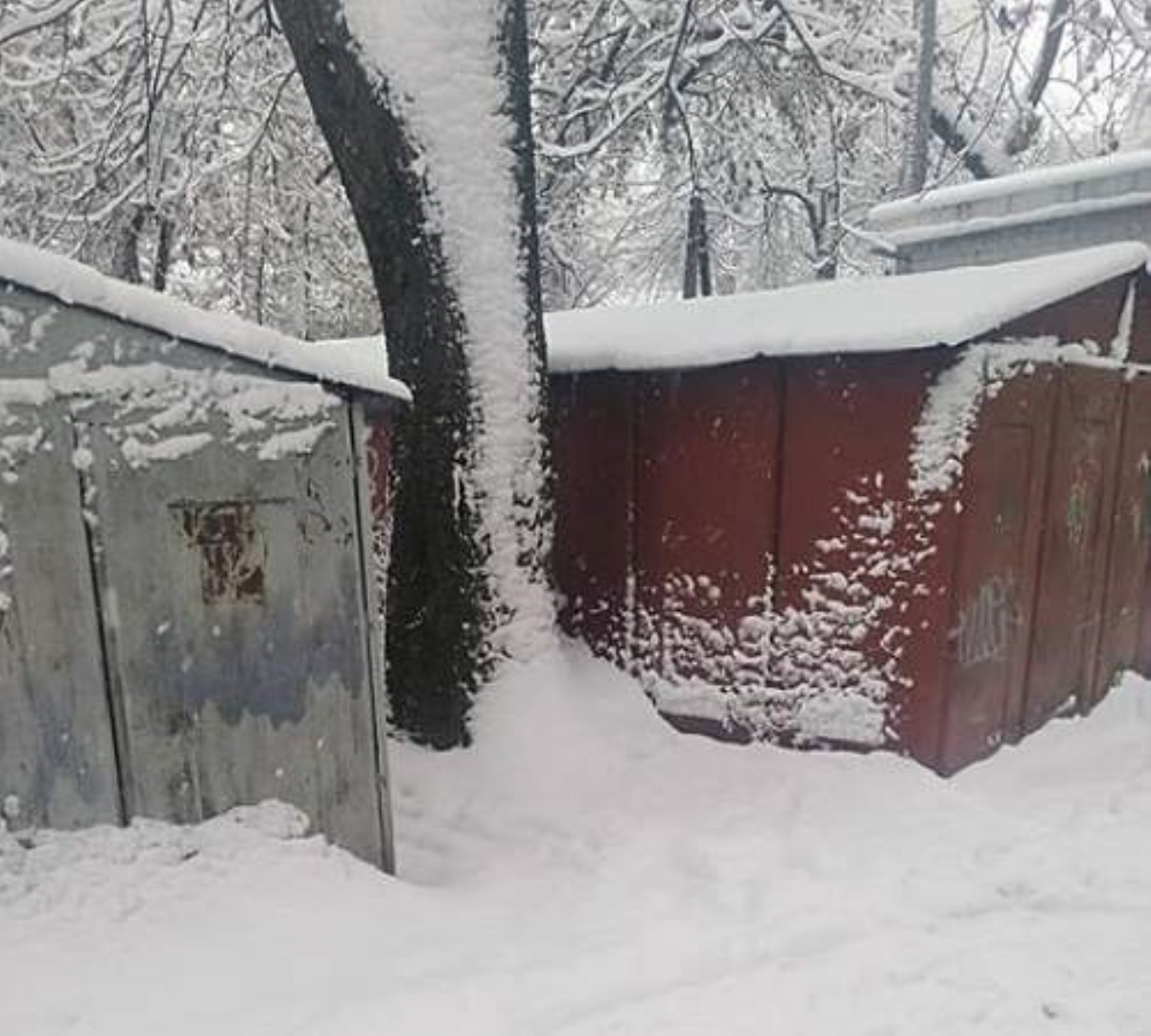 В Киеве педофил пытался затащить за гаражи школьницу