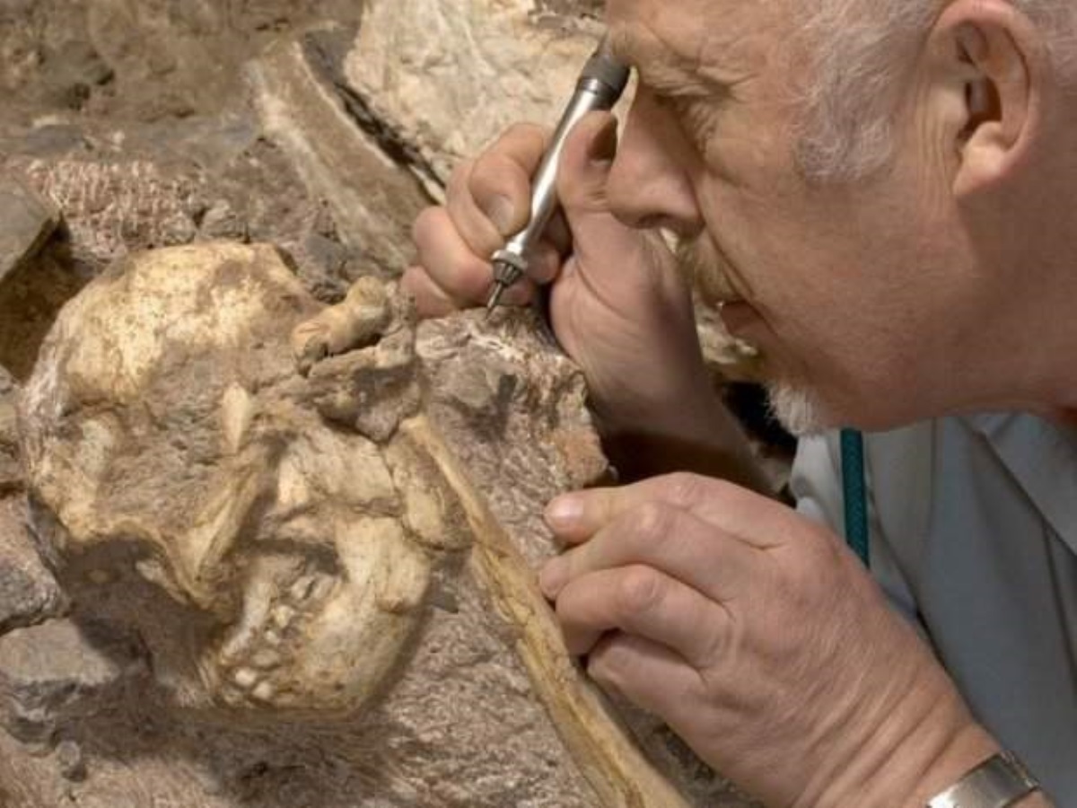 Это все меняет: найден новый древнейший предок человека