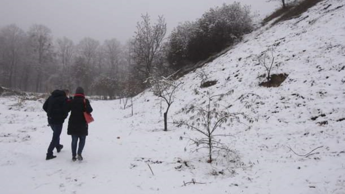 Погода в Киеве: сегодня самый холодный день недели