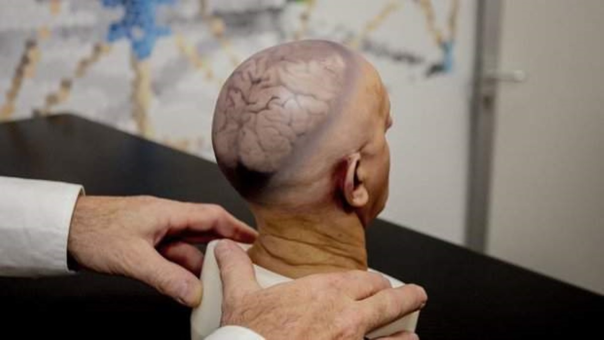Ученые замедлили старение мозга, бессмертие стало реальностью