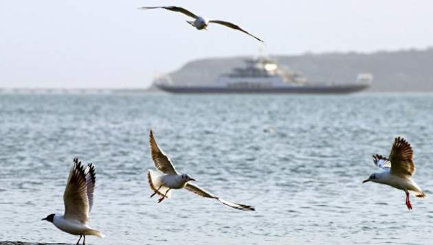 В Керченском проливе 170 судов ожидают своей очереди – Госпогранслужба