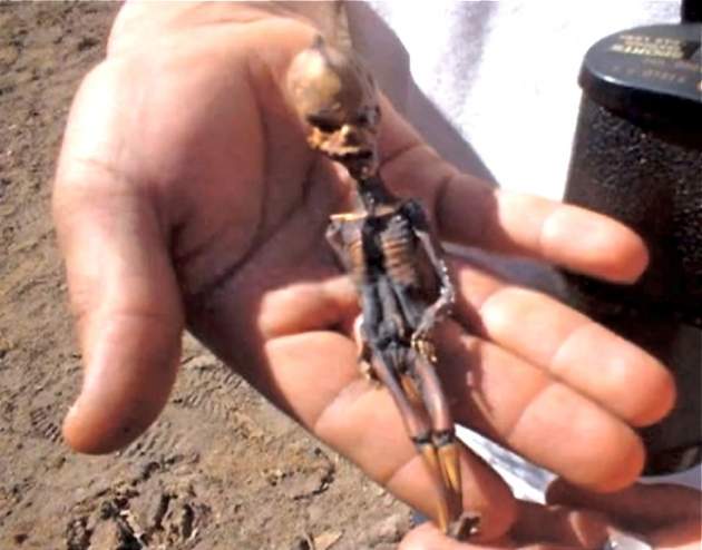 Ученые узнали, кому принадлежит "скелет инопланетянина" из пустыни Атакама