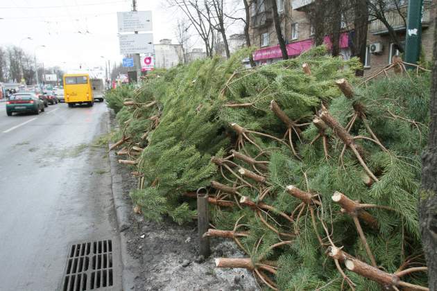 Елки с радиацией и огромной наценкой: как не прогадать с покупкой