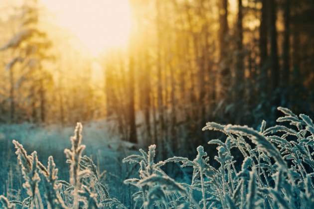 День зимнего солнцестояния: традиции, обряды, приметы, что нельзя делать