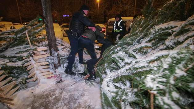 В Киеве злодеи с ножом и перцовым баллончиком пытались украсть елку
