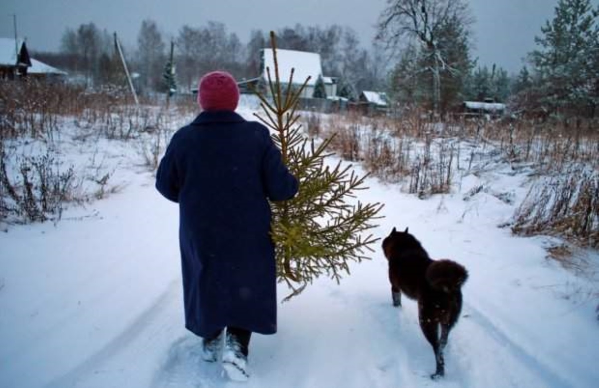 Как правильно убирать новогоднюю елку: главные традиции и народные приметы