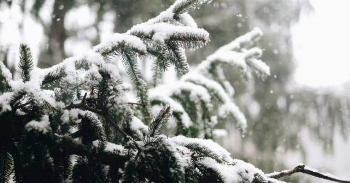 В Украине резко изменится погода: кого завалит снегом