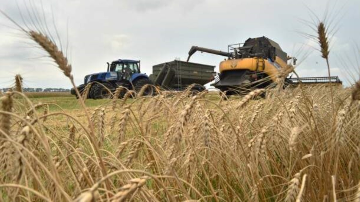 В Украине стремительно растут зарплаты в сельском хозяйстве
