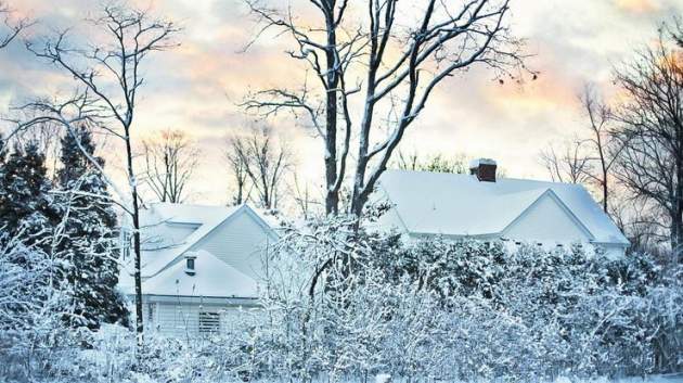 Часовой природы: Украину 15 января заметет снегом