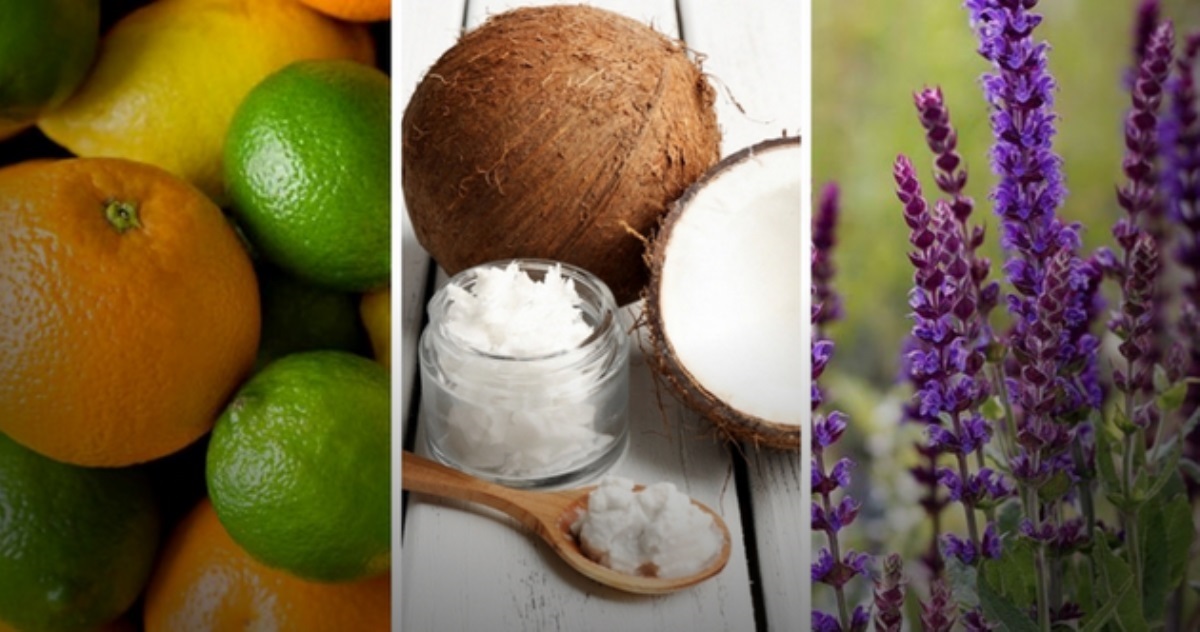От пота и запаха: 5 натуральных средств от потливости