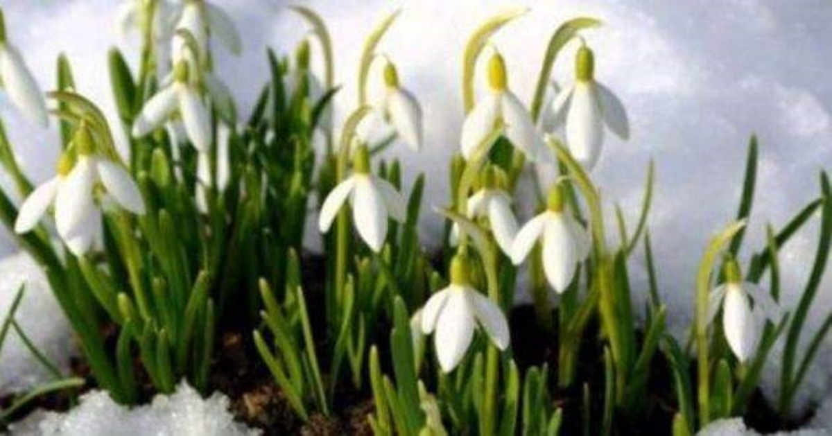 Весна ворвалась:  теплый прогноз по Украине