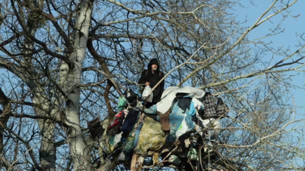В Киеве пенсионер три года живет в "гнезде" на дереве