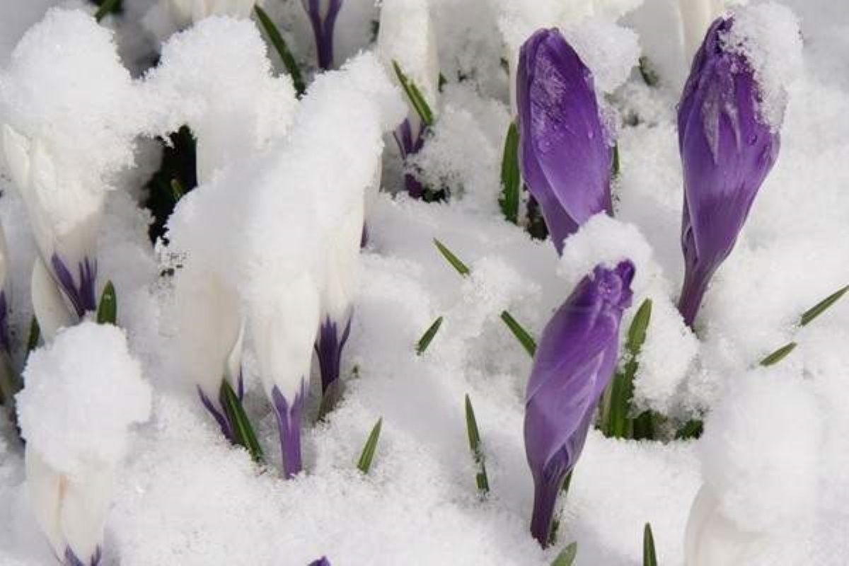 Погода на 25 февраля: в Украину пришло потепление