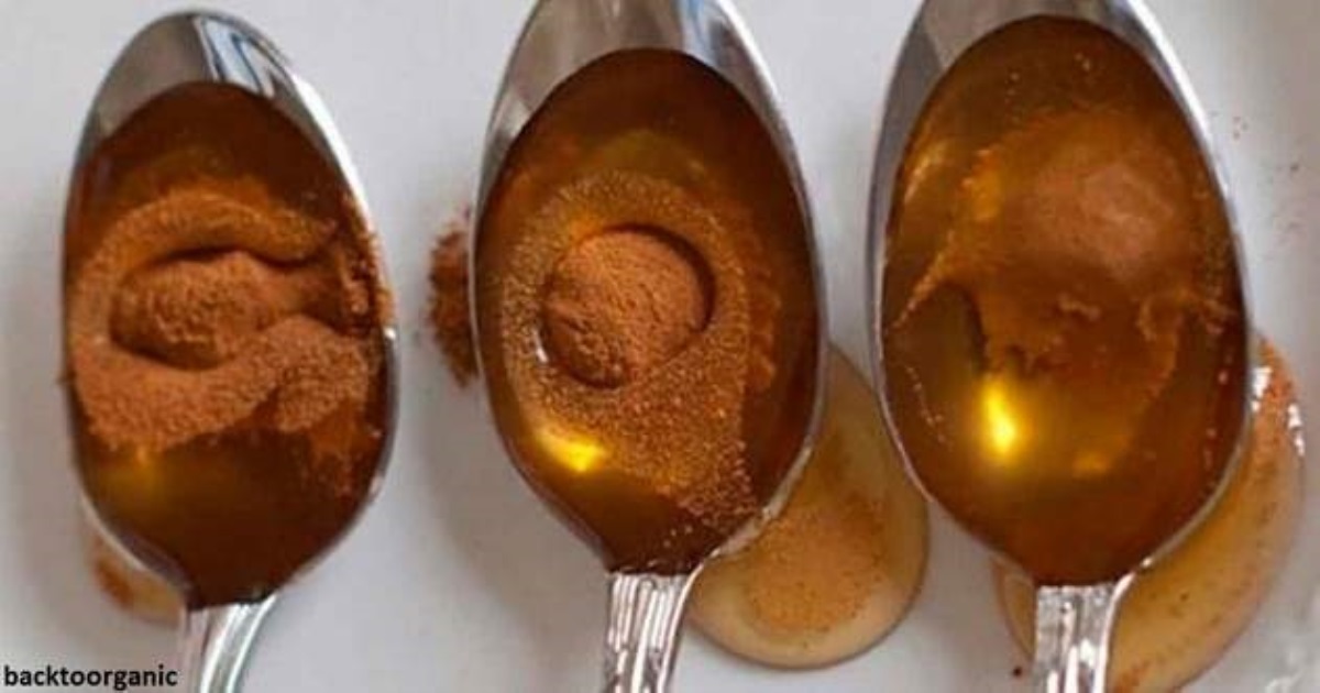 Корица и мед: мощное средство, эффект от которого не могут объяснить даже врачи
