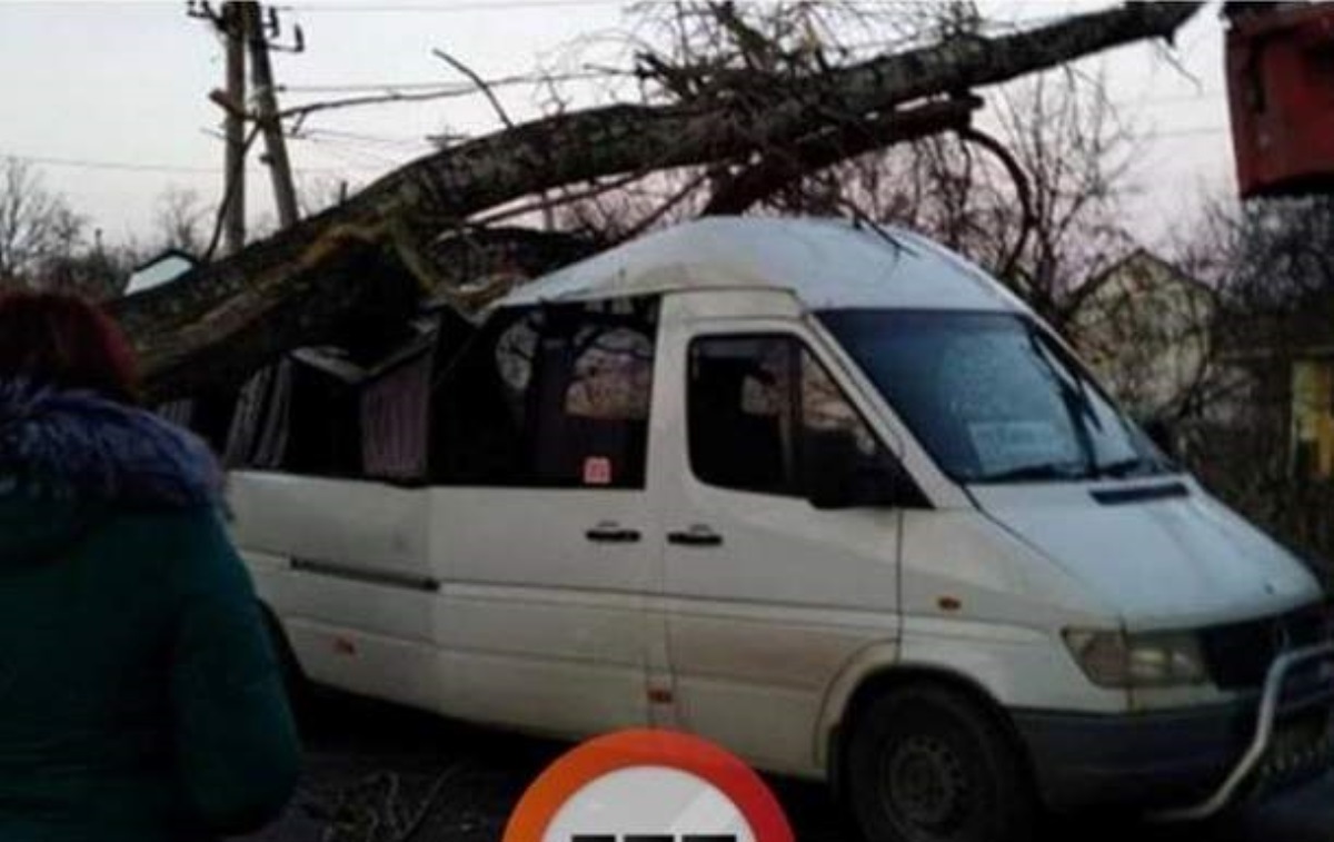 Под Киевом дерево упало на маршрутку с пассажирами. Фото