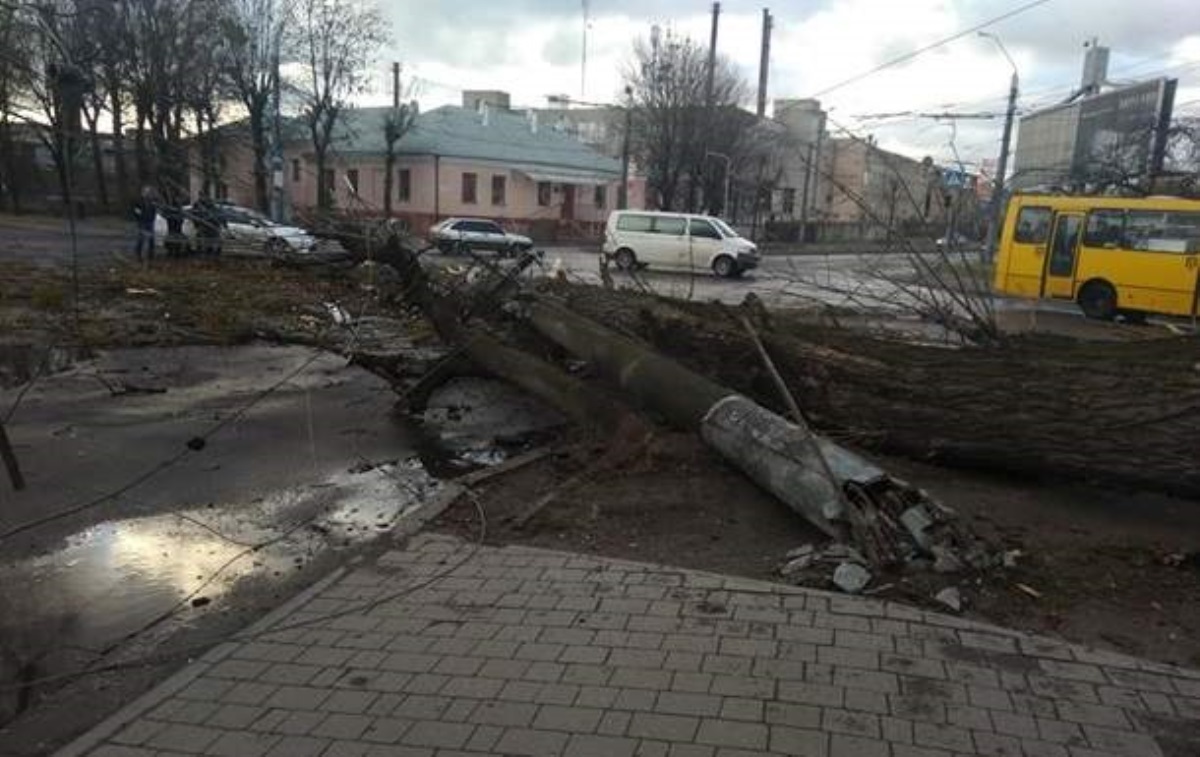 Ветер посрывал крыши и повалил деревья на западе Украины