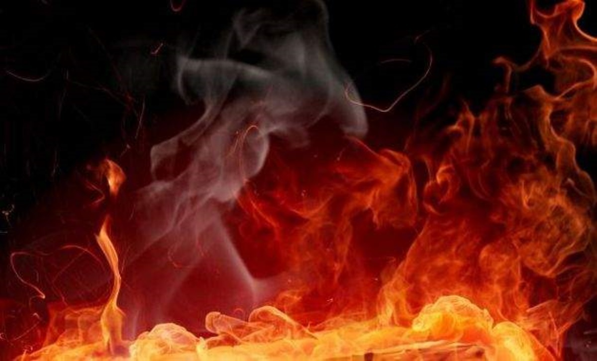 Херсон с двух сторон охватило пламя: огонь подбирается к жилым домам, люди в опасности