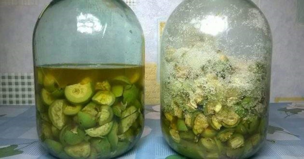 Зеленые грецкие орехи: получаем "золотое" средство для здоровья